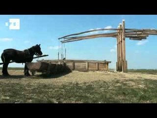 Hungary's vast Puszta plains