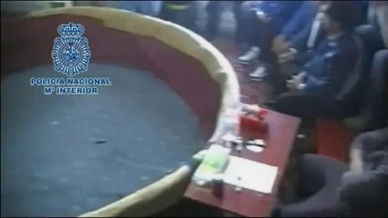 Maltrato animal. Redada contra las peleas de gallos