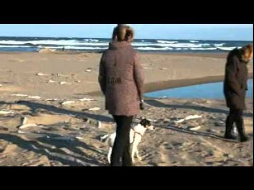 La playa de Pals aparece cubierta de peces muertos