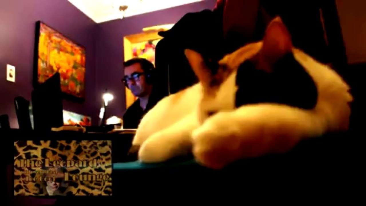 Leopard Lounge
