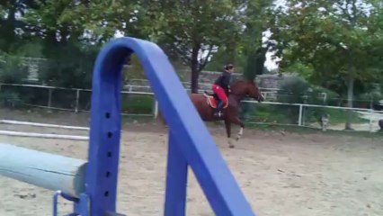 Arome d'Oregon 3ans