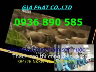 Thợ sửa chữa điện nước ở tại quận 11-LG /0936 890585