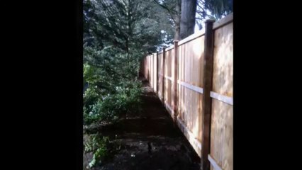 Wood Fence Maintenance in Olympia