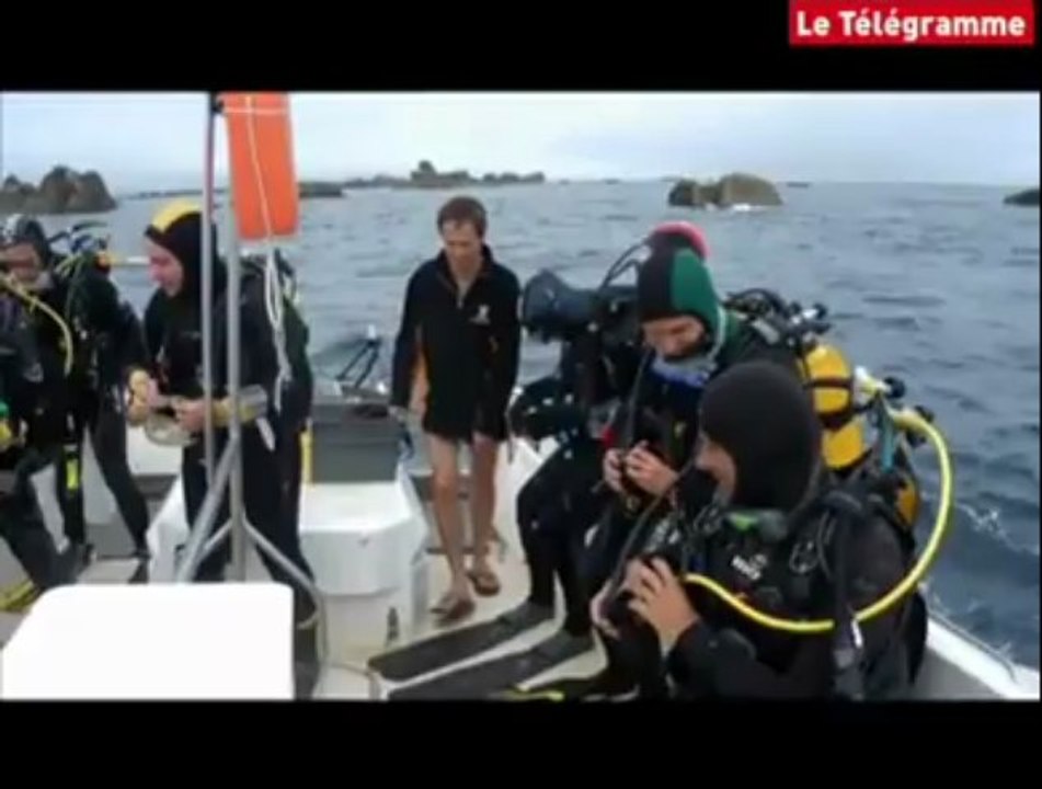 Plongée à Penmarc'h : le BRAM, explorateur de fonds marins bigoudens