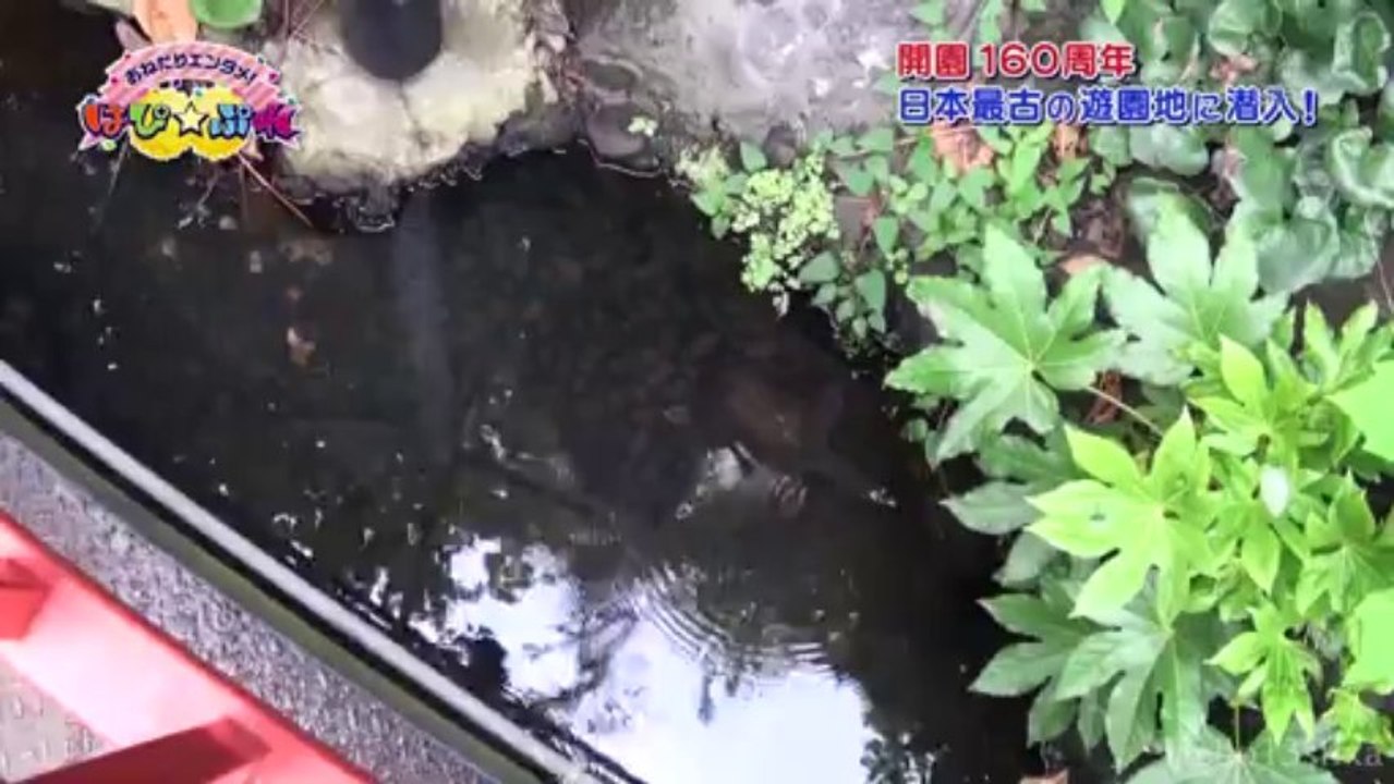 Hapi Pure ~Onedari Entame~ ep01 (13.10.05)