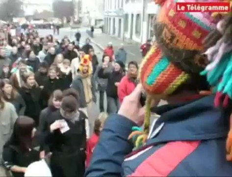 Saint-Brieuc (22). Entre 11.000 et 20.000 manifestants