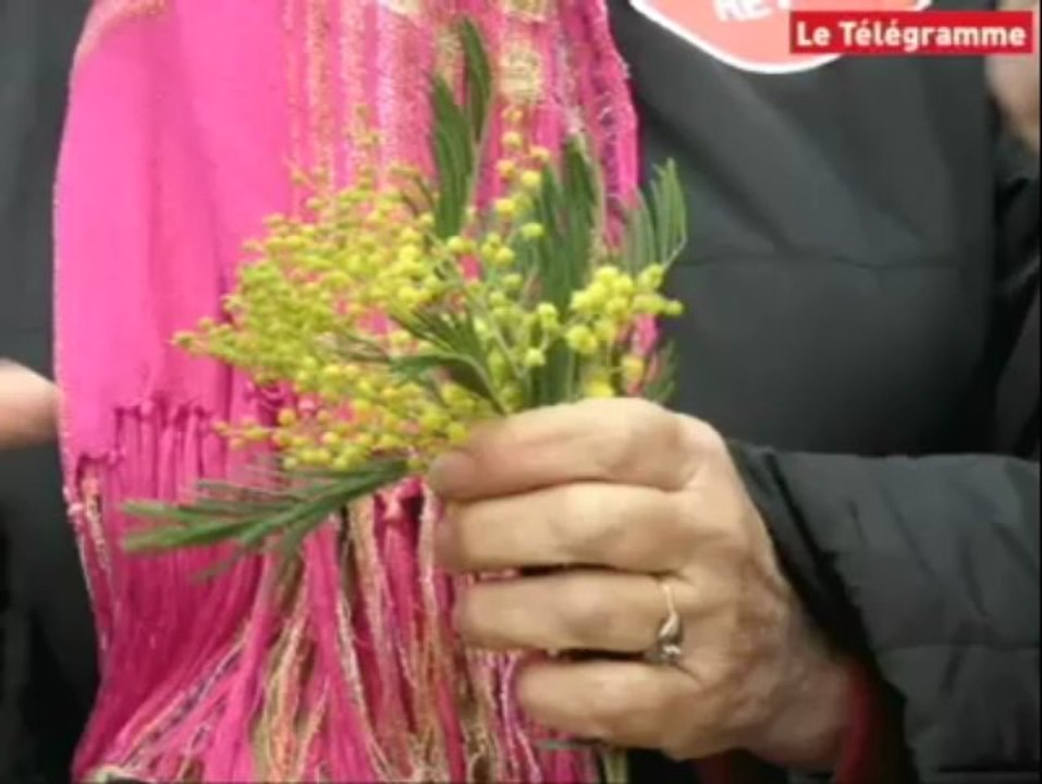 Morlaix (29). Entre 5.000 et 6.000 manifestants