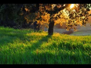 2 SAMUEL  CAP 8 - A BIBLIA NA LINGUAGEM DE HOJE