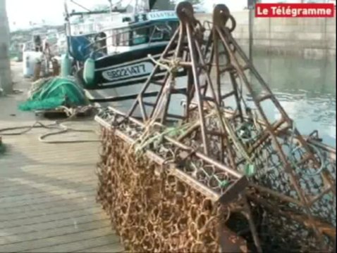 Coquille Saint-Jacques. Réunion de crise à Saint-Quay-Portrieux (22)