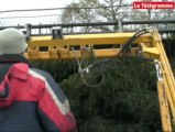 Quimper. Chasse aux algues dans l'étang de Créac'h-Gwen