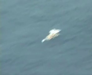 AF 447. Récupération des premiers débris