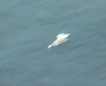 AF 447. Récupération des premiers débris