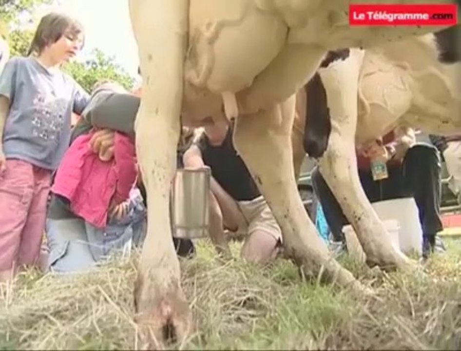 Bout du Monde. Traire les vaches à l'ancienne