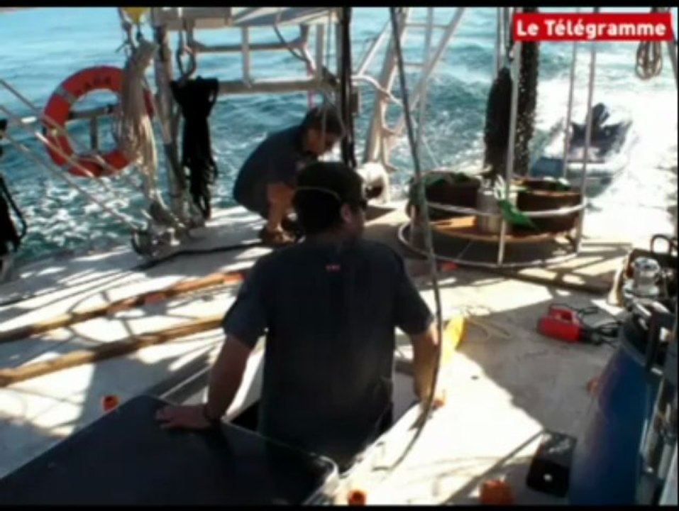 Groix (56). Tara, invité du festival du film insulaire