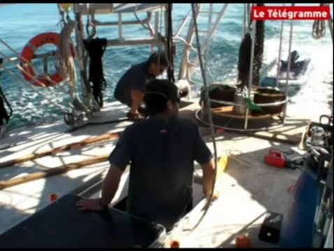 Groix (56). Tara, invité du festival du film insulaire