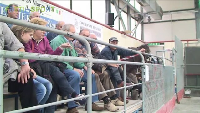 Campionato serie A 2013/14 - Ferriera Vs Canova - 2° Turno Prove Tecniche