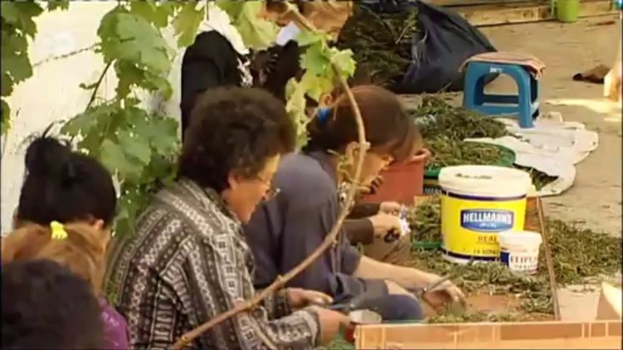 Albanien: Das Marihuanadorf | Europa Aktuell