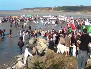 Marée verte à Hillion (22)