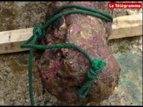 Ile de Batz. Un trésor remonte à la surface