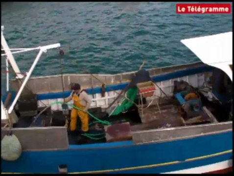 Coquilles : premiers coups de drague dans la rade de Brest