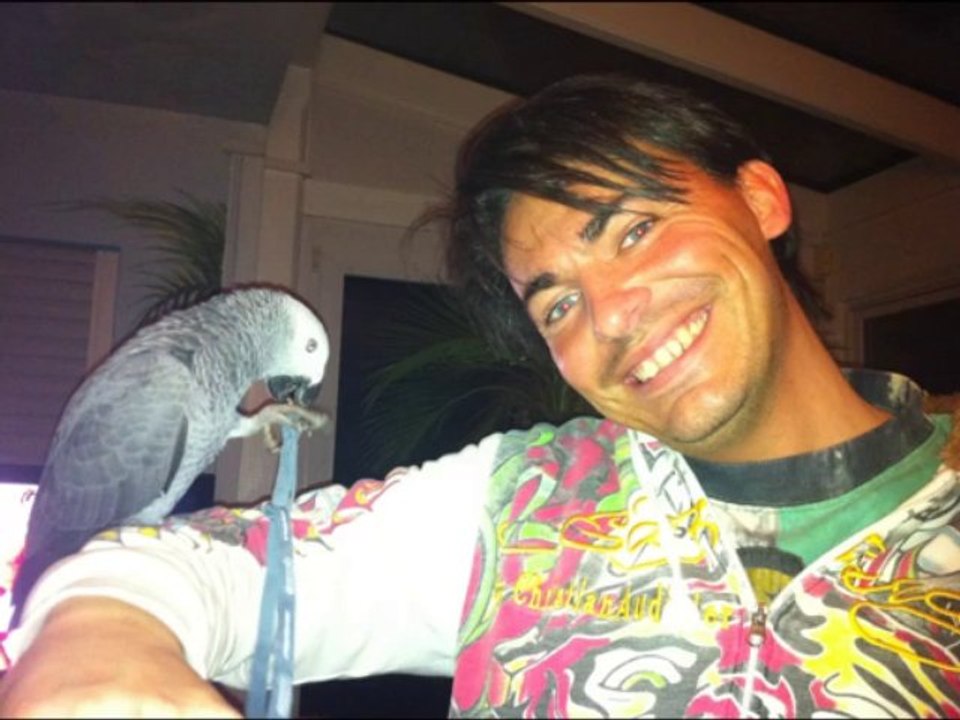 sprechender Papagei Kongo Graupapagei Rudi Hammelburg 20.10.2013