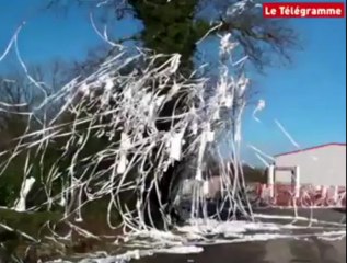 Quimperlé. Les PDM bloquent l'accès d'un entrepôt