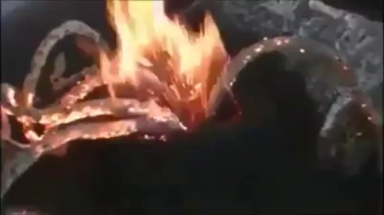 Experiment Chimic cu intorsatura Neasteptata