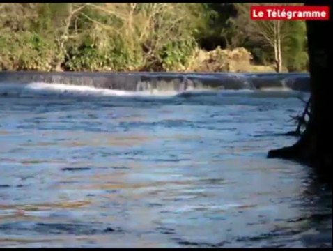 Quimperlé (29). On prépare l'ouverture de la pêche au saumon