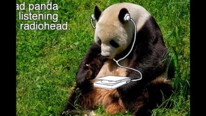 best of funny tumblr  LOL Factory (vol. 1)