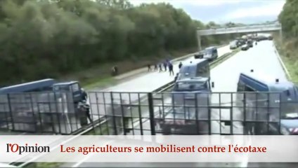 60" : Les agriculteurs se mobilisent contre l'écotaxe