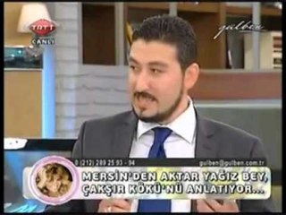 Sperm Arttırıcı Bitkisel Çözüm Çakşır Kökü-Erkeklerde Kısırlığa Tedavi Çakşır Otu