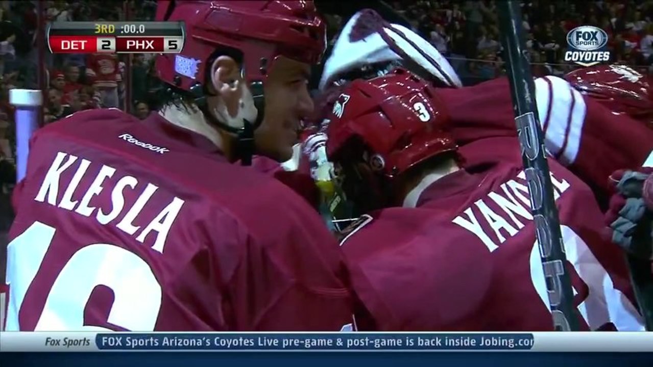 Hockey sur glace : But magnifique du gardien de but de Detroit Phoenix en NHL!