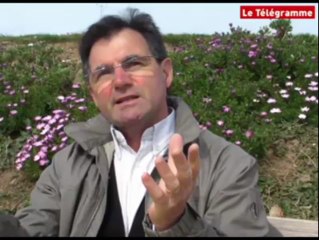 Brest (29). Ce n'est pas que du béton !