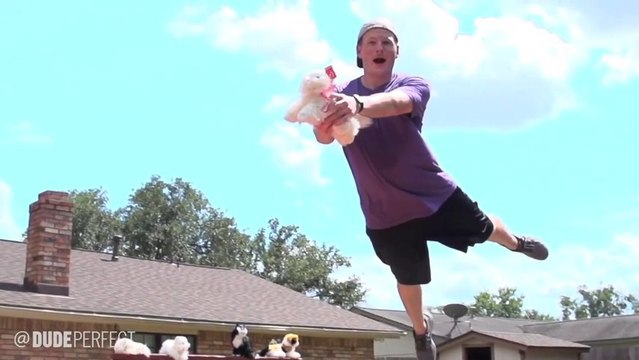 Paniers de basket de dingue avec des bidons litière pour chat ! WTF???