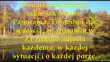 test 1 orange cz1- jesienny las