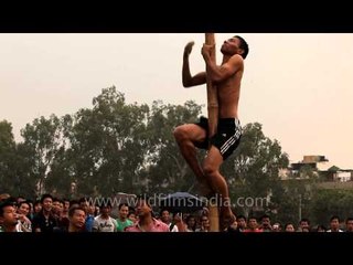Exciting game oiled pole climbing -At the 50th Naga Fest'13