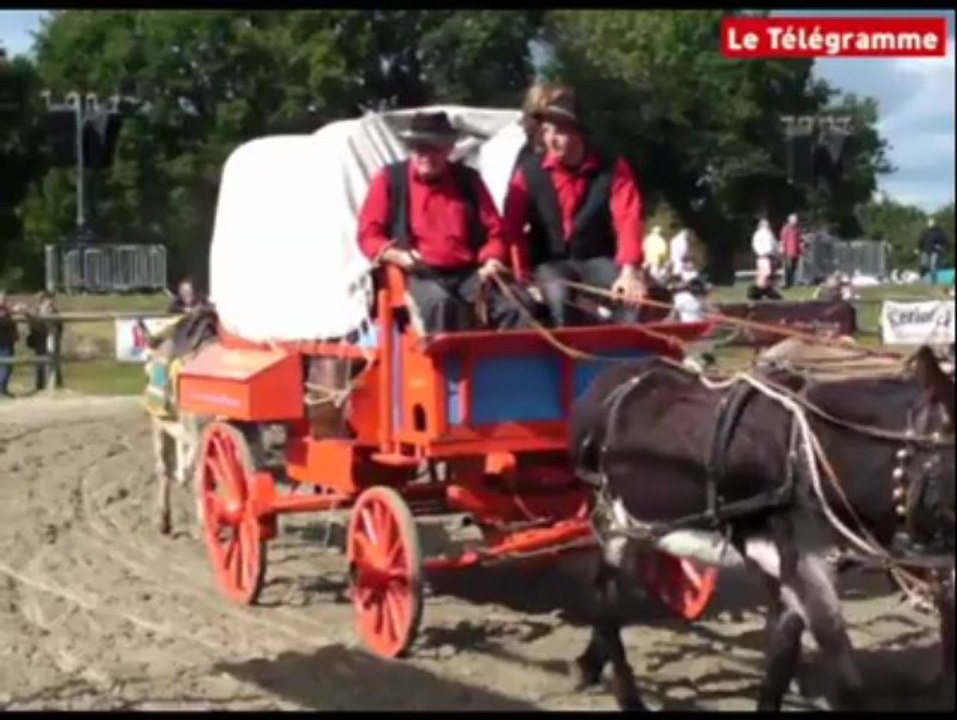 Lamballe (22). Florilège de mille sabots