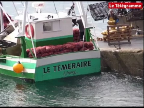 Erquy (22). La pêche se défend face au parc éolien