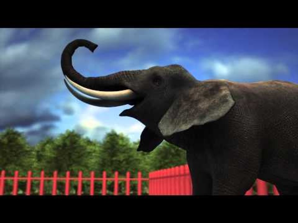 Thailand elephant attack: tusks cut after woman stomped to death