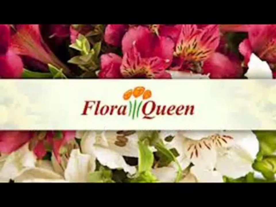 Floraqueen-Les fleurs d´Halloween