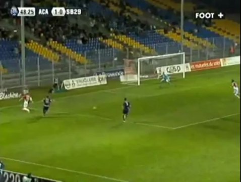 Arles-Avignon - Stade Brestois : 1-1