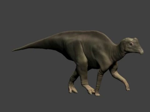 La reconstitution artistique d'un bébé dinosaure
