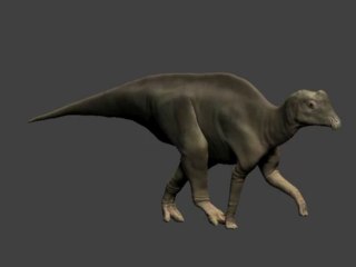 La reconstitution artistique d'un bébé dinosaure