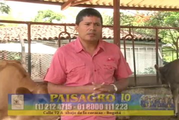 22 de octubre de 2013 Viterbo Institución educativa web[1]