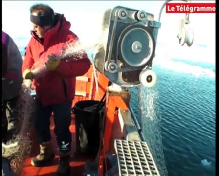 Antarctique. Le rendez-vous des scientifiques