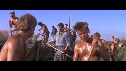 Main Timeline11 mins