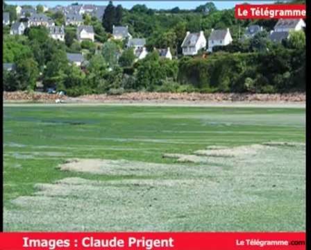 Saint-Michel-en-Grève (22). Retour fracassant des algues vertes