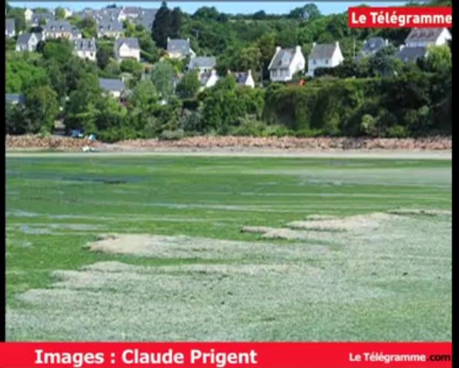 Saint-Michel-en-Grève (22). Retour fracassant des algues vertes