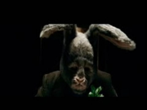 The Cardigans - For What It's Worth