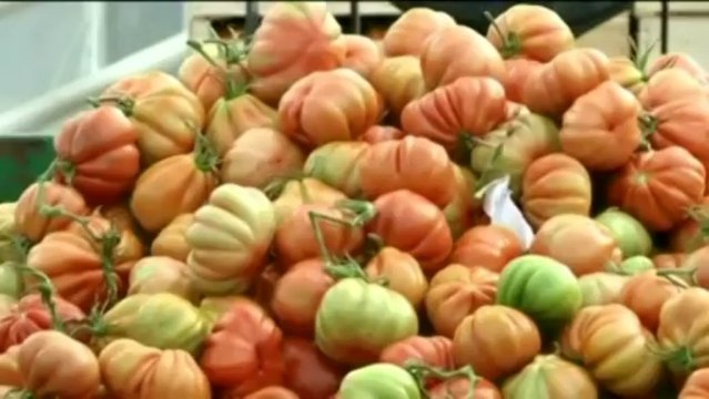 Les agriculteurs de Seine-et-Marne mobilisés contre l'écotaxe